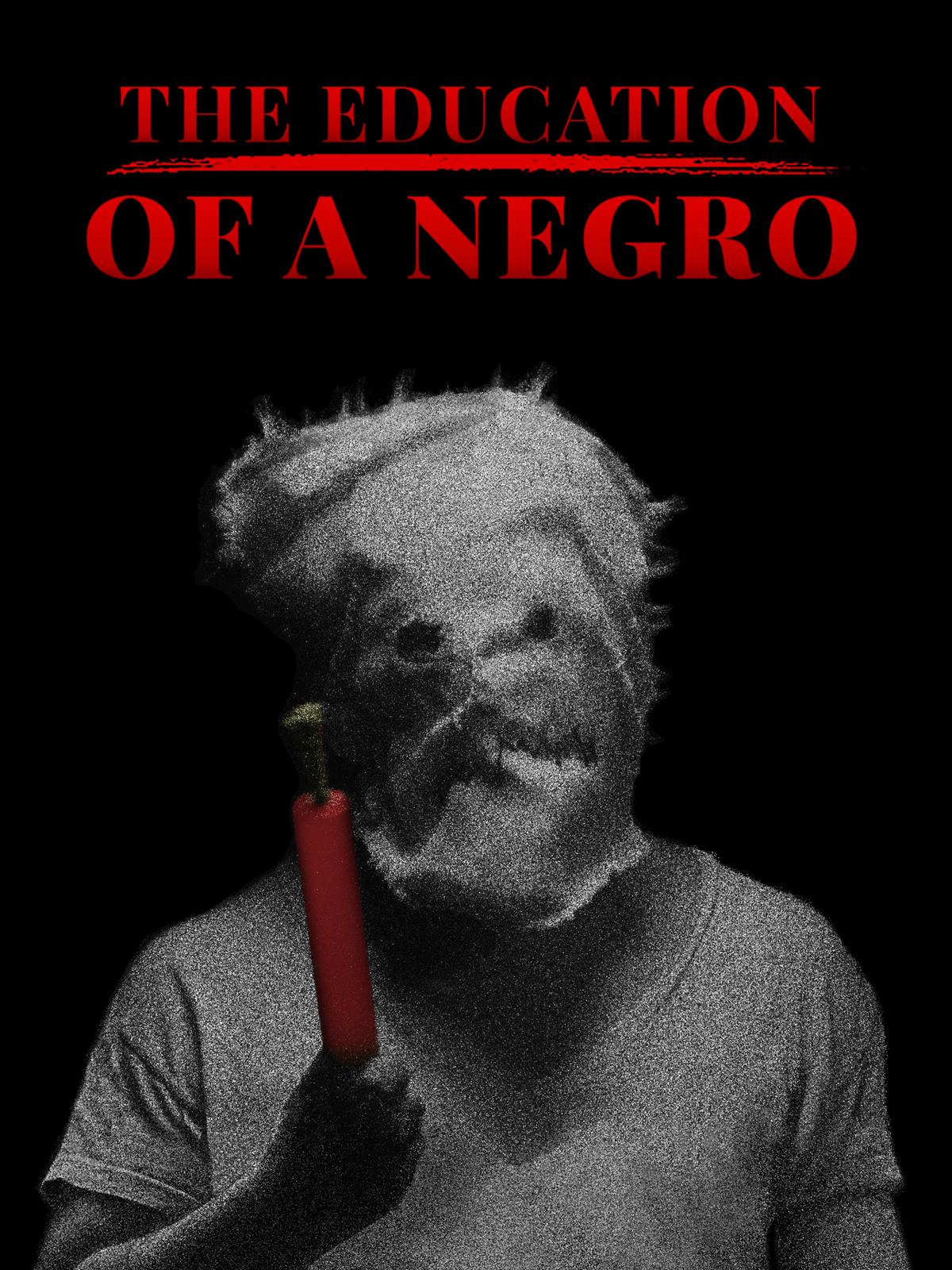 The Education of a Negro постер