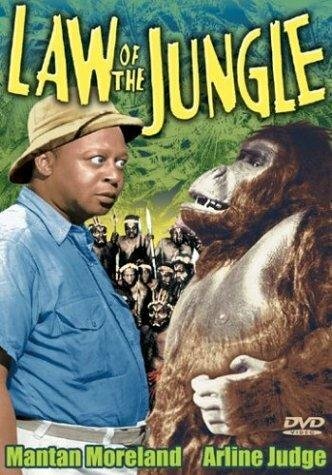 Law of the Jungle (1942) постер