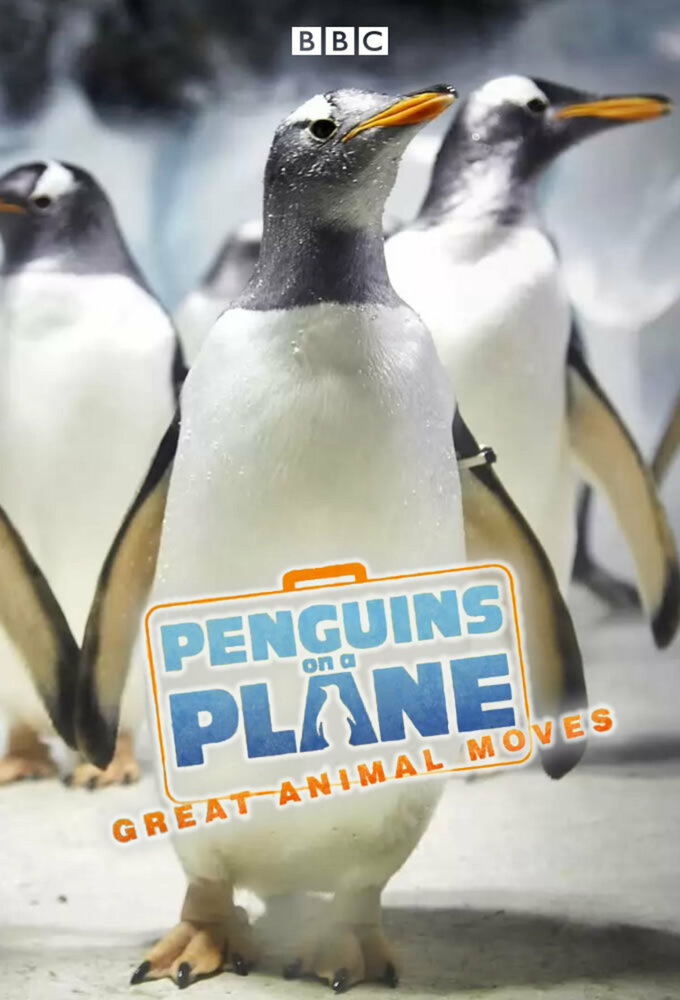 Пингвины на самолете: Передвижение великих животных (2014) постер