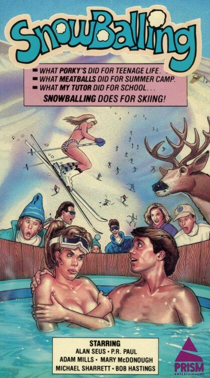 Игра в снежки (1984) постер