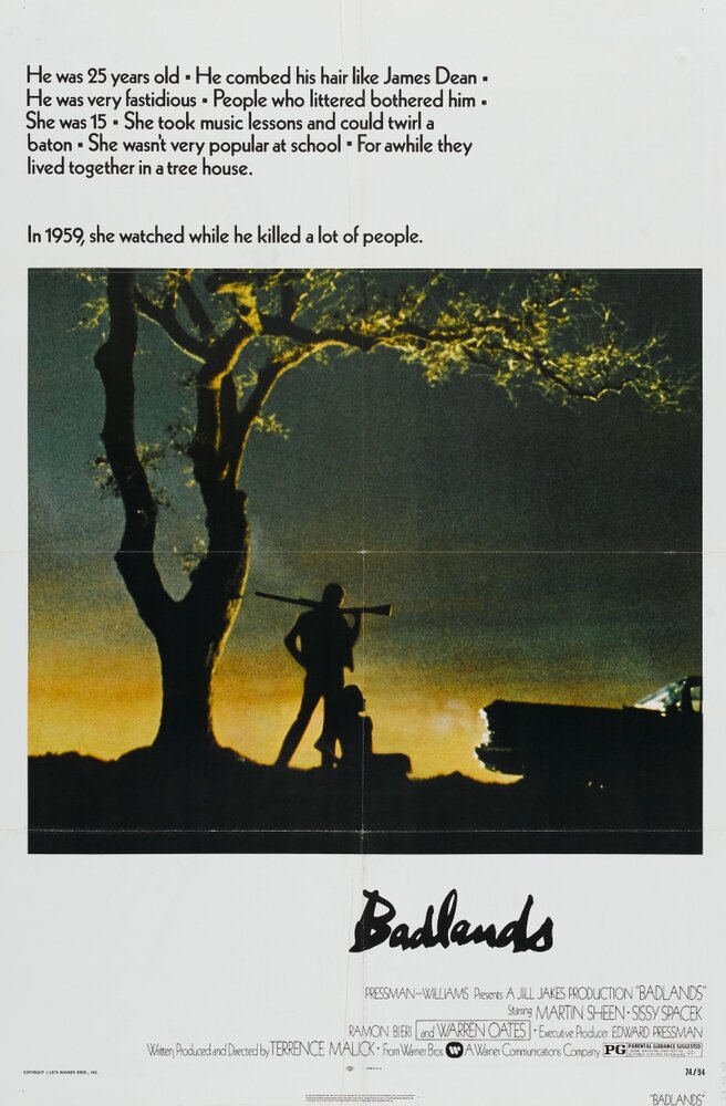 Пустоши (1973) постер