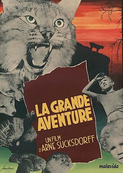 Большое приключение (1953) постер