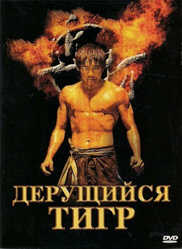 Дерущийся тигр (2008) постер