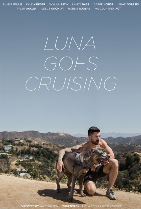 Luna Goes Cruising (2015) постер