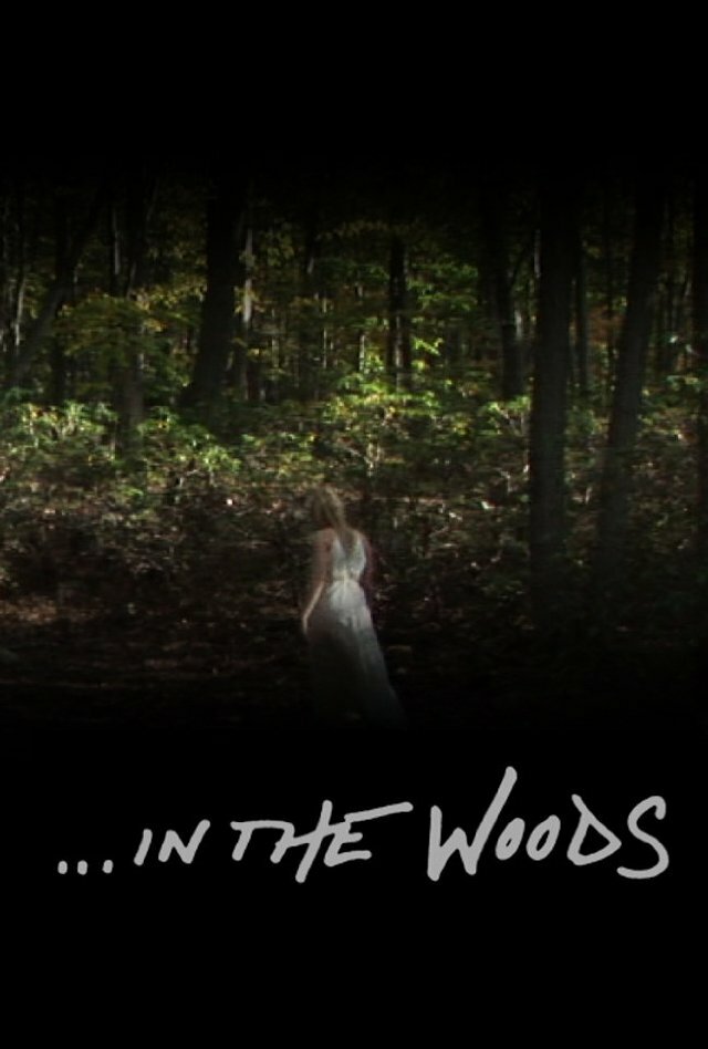 В лесах (2013) постер