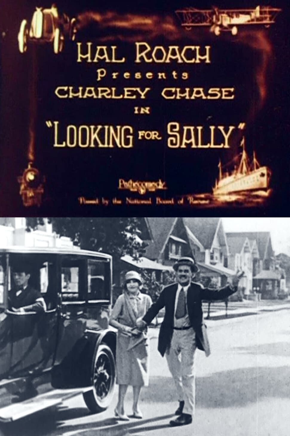 В поисках Салли (1925) постер