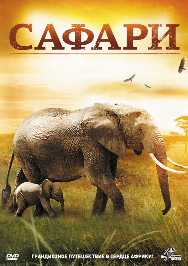 Сафари (2011) постер