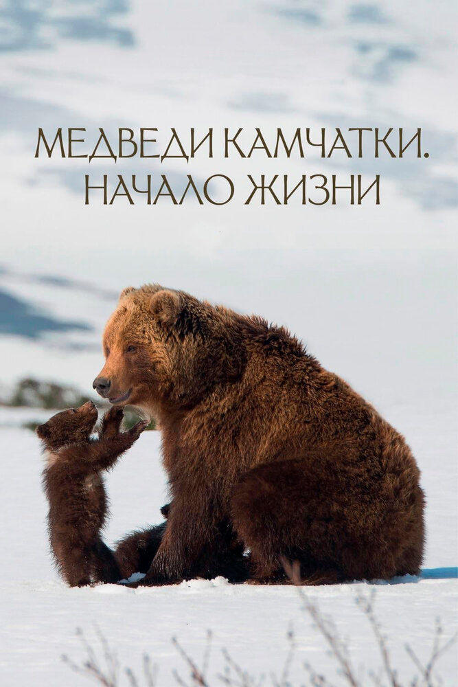 Медведи Камчатки. Начало жизни (2018) постер