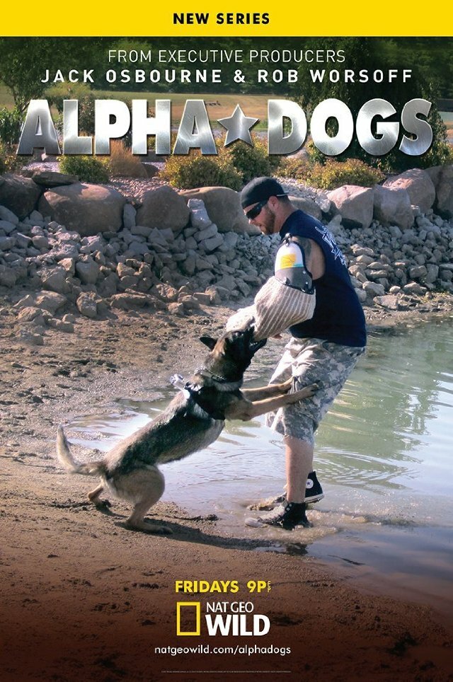 Собаки альфа (2013) постер