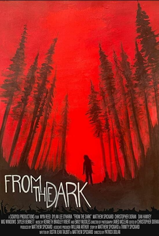From the Dark (2020) постер