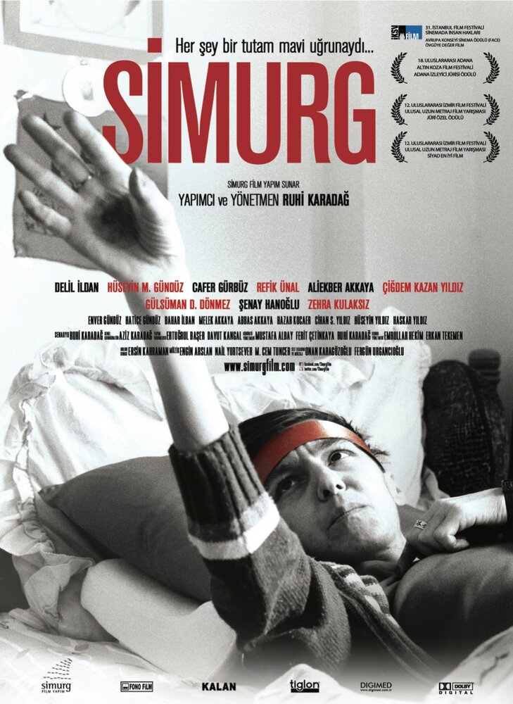 Симург (2012) постер
