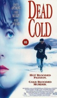 Смертельный холод (1995) постер