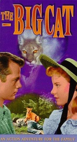 The Big Cat (1949) постер