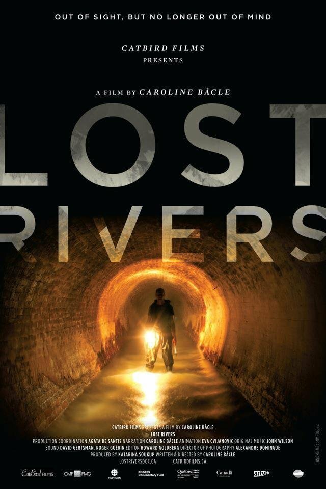 Исчезнувшие реки (2012) постер