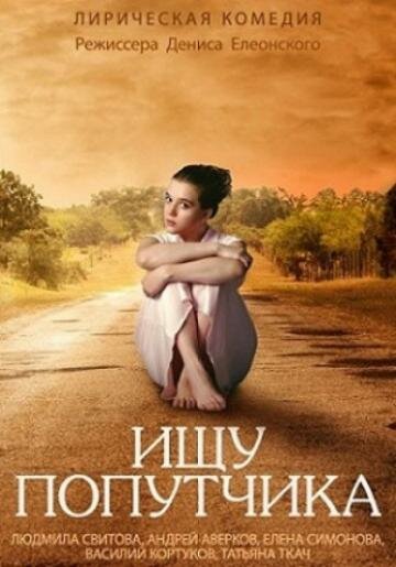 Ищу попутчика (2013) постер