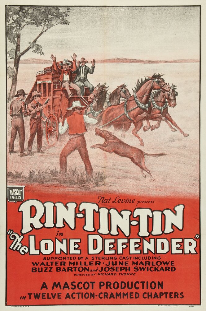 The Lone Defender (1930) постер