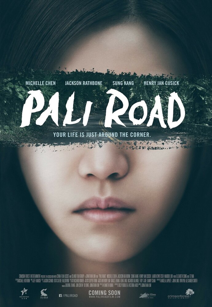 Дорога на Пали (2015) постер