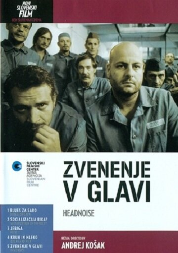 Zvenenje v glavi (2002) постер