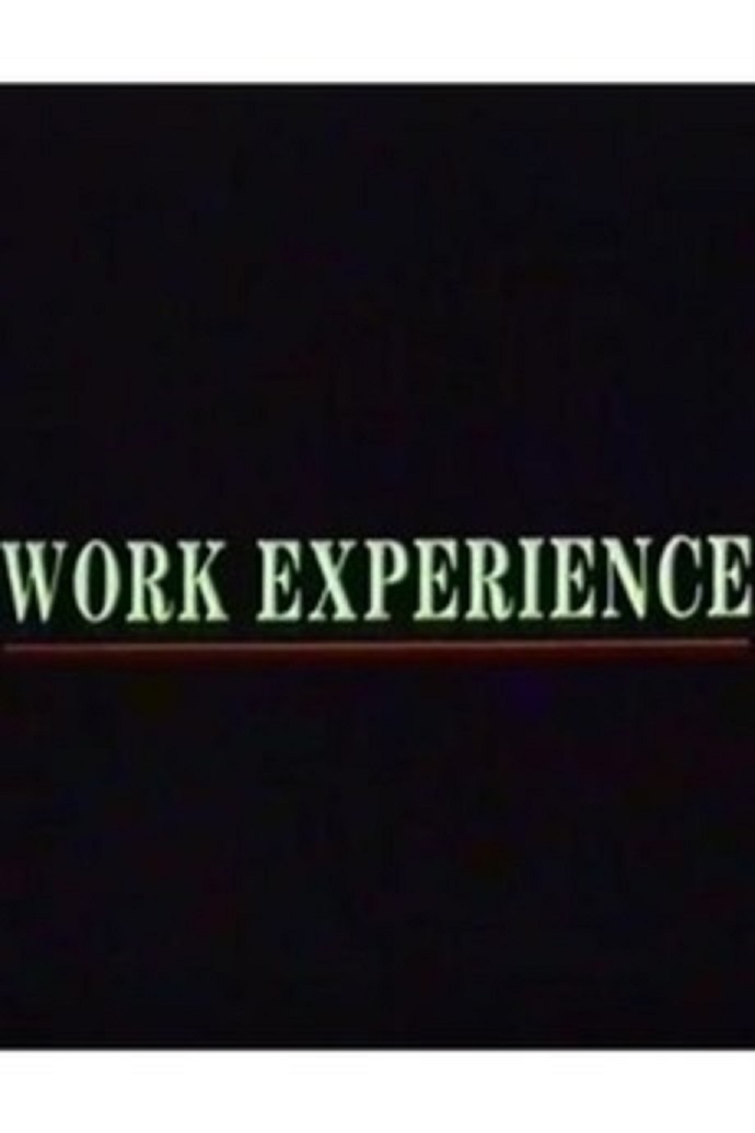 Опыт работы (1989) постер
