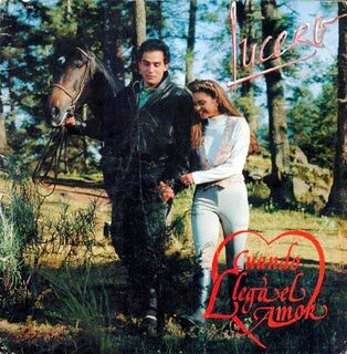 Когда приходит любовь (1990) постер