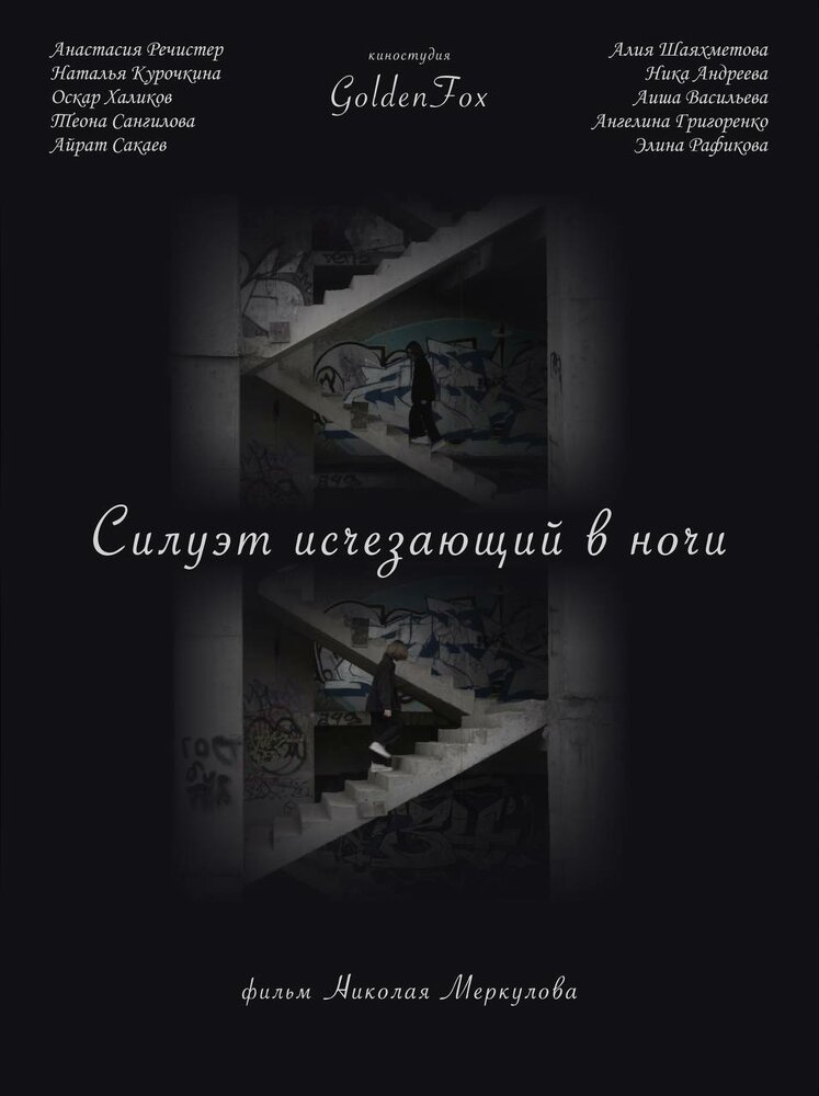Силуэт, исчезающий в ночи (2022) постер
