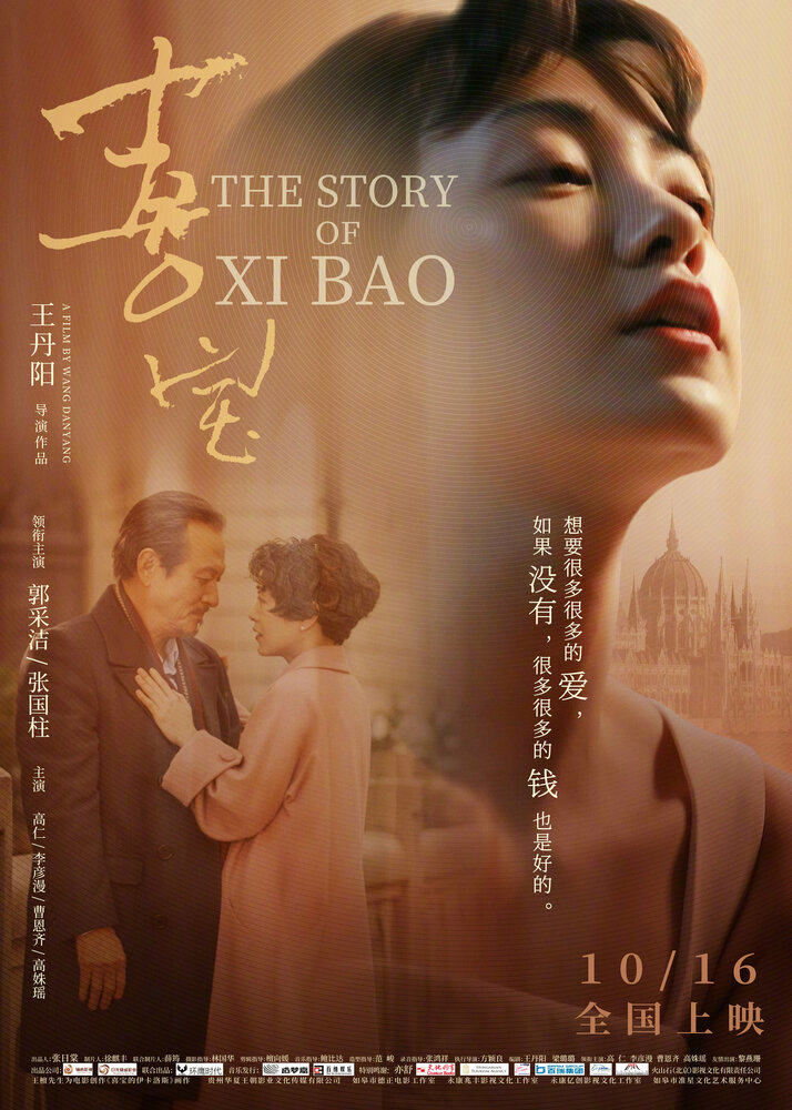 История Сибао (2020) постер