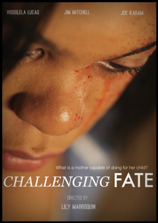 Challenging Fate (2014) постер