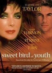 Сладкоголосая птица юности (1989) постер