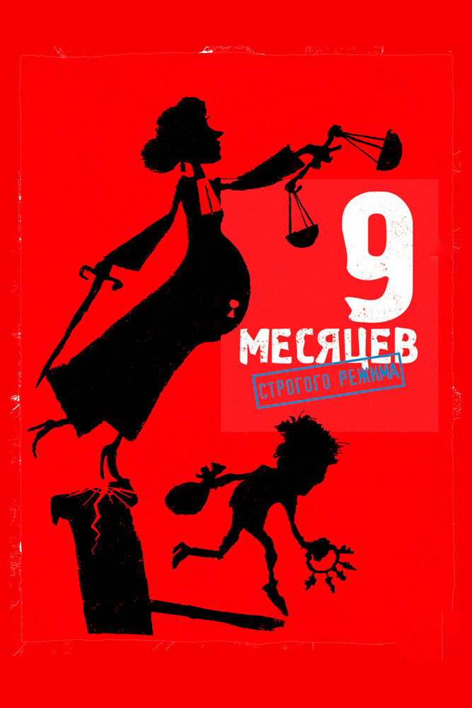 9 месяцев строгого режима (2013) постер