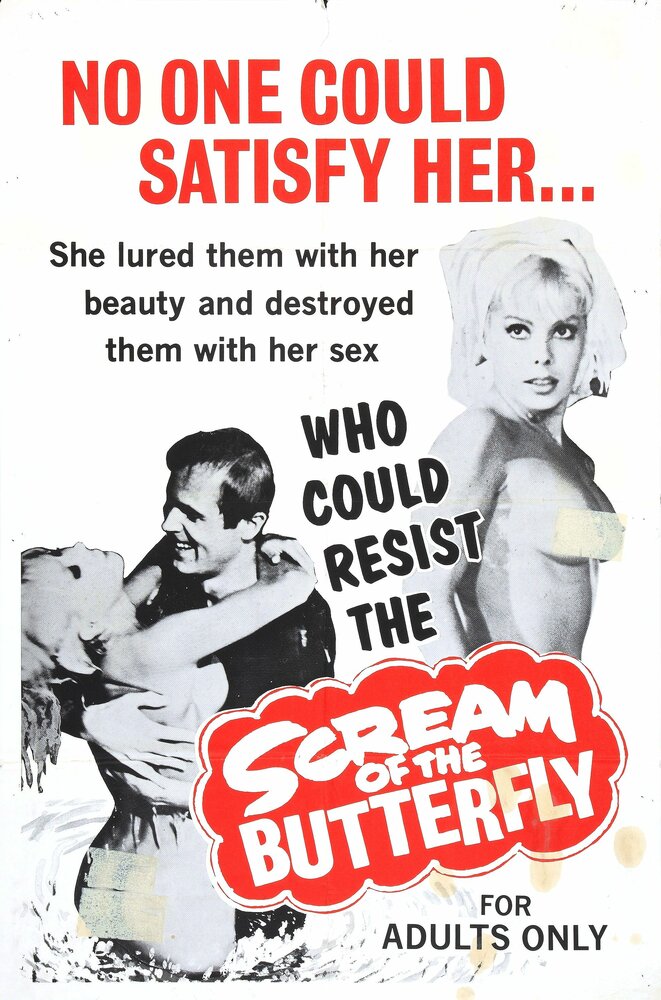 Scream of the Butterfly (1965) постер
