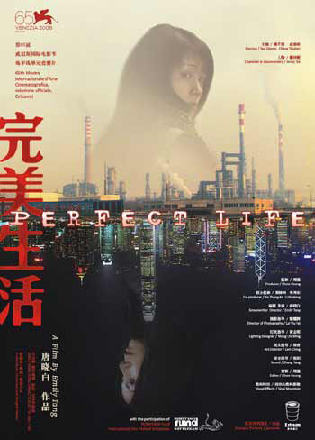 Идеальная жизнь (2008) постер