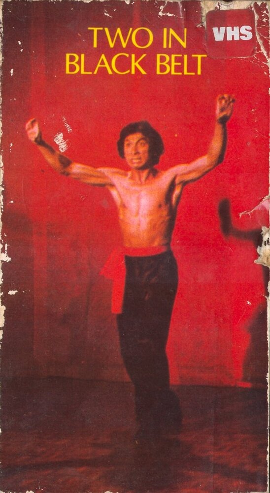 Двое в черном поясе (1978) постер