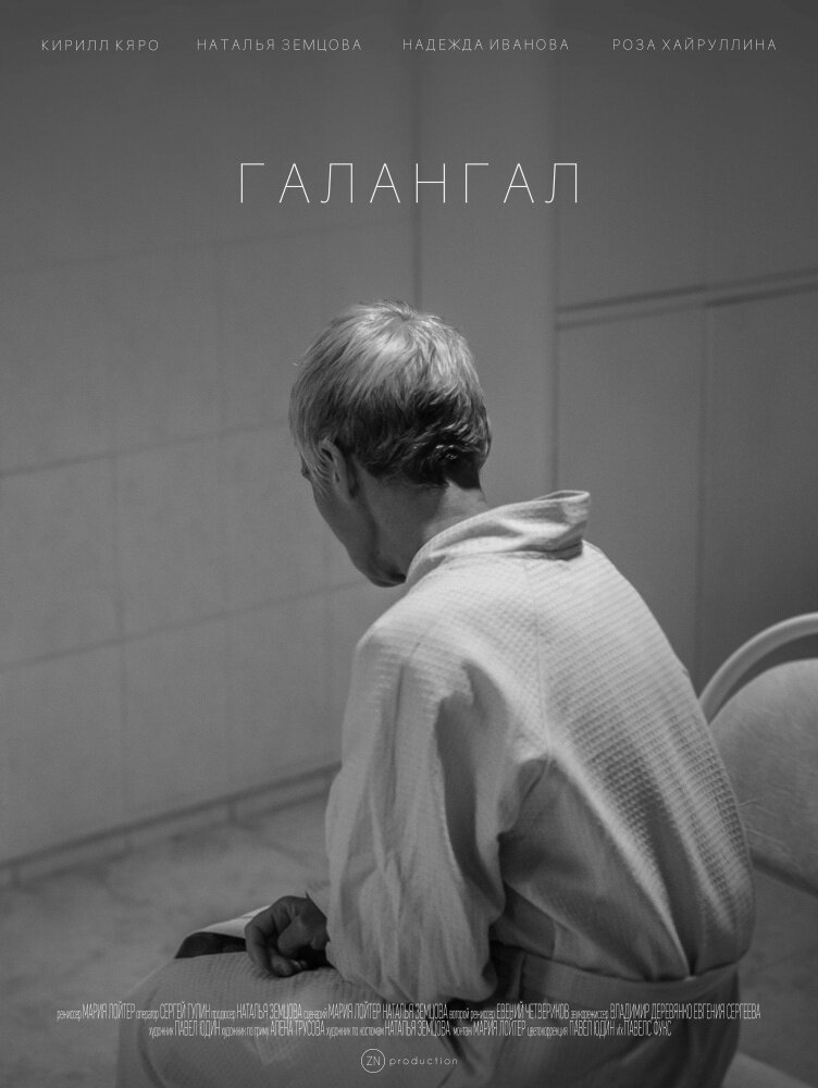 Галангал (2019) постер