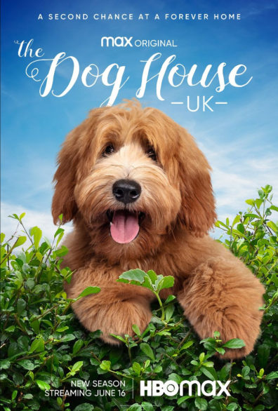 The Dog House (2019) постер