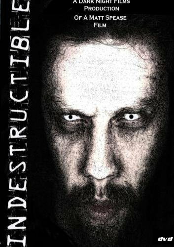 Indestructible (2009) постер