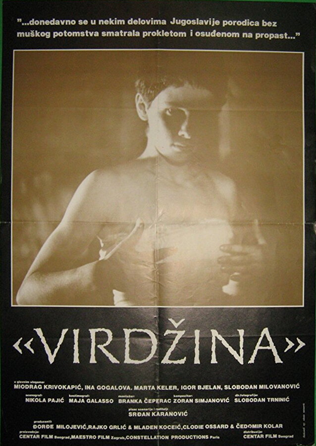 Virdzina (1991) постер
