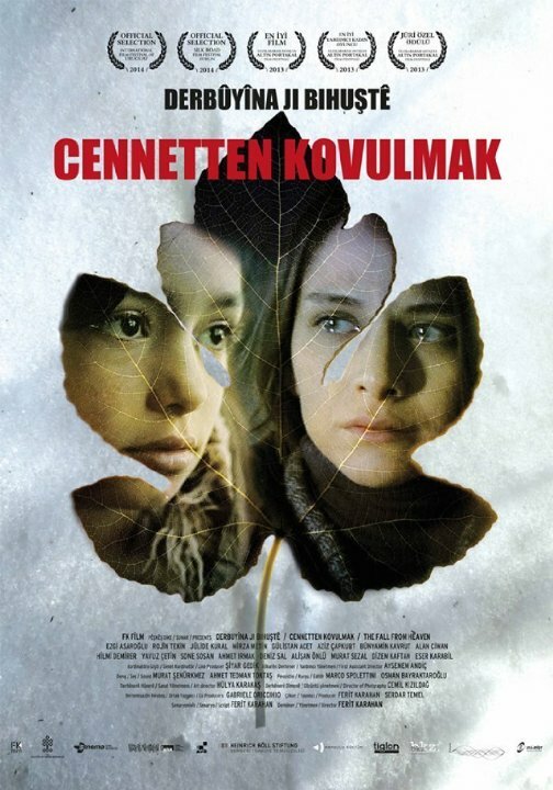 Падение с небес (2013) постер