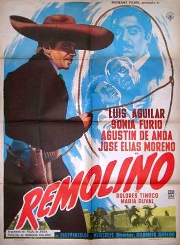 Remolino (1961) постер