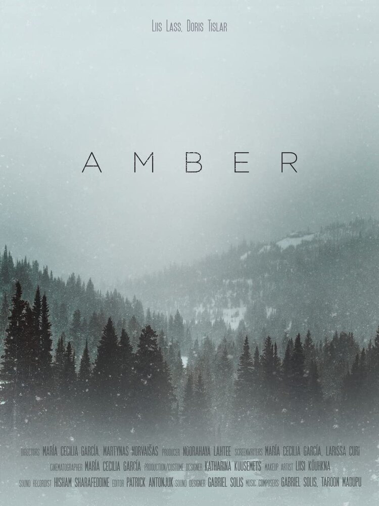 Amber (2020) постер